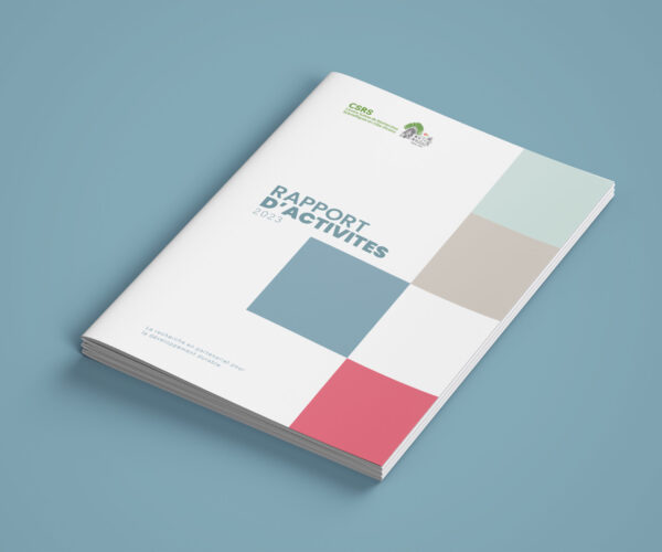 Rapport d’activités CSRS 2023