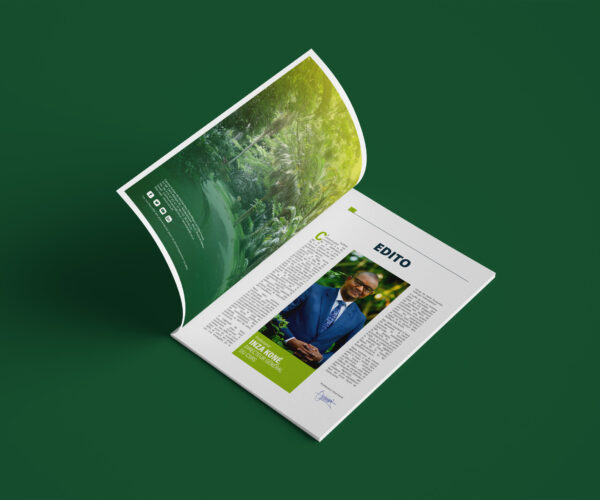 Bulletin d’information CSRS